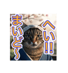江戸っ子言葉を使う、猫ちゃん（個別スタンプ：20）