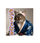 江戸っ子言葉を使う、猫ちゃん（個別スタンプ：22）