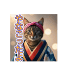 江戸っ子言葉を使う、猫ちゃん（個別スタンプ：24）