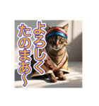 江戸っ子言葉を使う、猫ちゃん（個別スタンプ：26）
