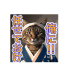 江戸っ子言葉を使う、猫ちゃん（個別スタンプ：27）
