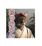 江戸っ子言葉を使う、猫ちゃん（個別スタンプ：31）