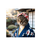 江戸っ子言葉を使う、猫ちゃん（個別スタンプ：34）