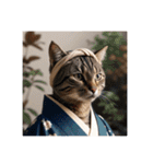 江戸っ子言葉を使う、猫ちゃん（個別スタンプ：36）