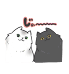 猫好きが使う【普段使い】スタンプ（個別スタンプ：14）