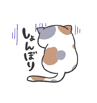 猫好きが使う【普段使い】スタンプ（個別スタンプ：17）