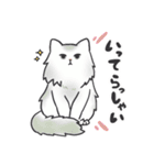 猫好きが使う【普段使い】スタンプ（個別スタンプ：21）
