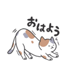 猫好きが使う【普段使い】スタンプ（個別スタンプ：27）
