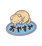 猫好きが使う【普段使い】スタンプ（個別スタンプ：28）