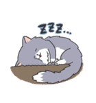 猫好きが使う【普段使い】スタンプ（個別スタンプ：29）
