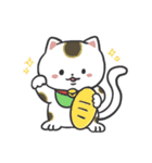 猫好きが使う【普段使い】スタンプ（個別スタンプ：31）
