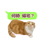 ももなつまみイルふく（個別スタンプ：1）