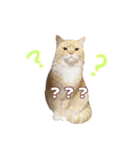ももなつまみイルふく（個別スタンプ：4）