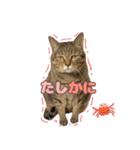 ももなつまみイルふく（個別スタンプ：6）