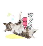 ももなつまみイルふく（個別スタンプ：7）