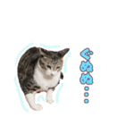 ももなつまみイルふく（個別スタンプ：9）