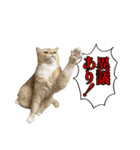 ももなつまみイルふく（個別スタンプ：10）