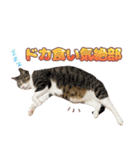 ももなつまみイルふく（個別スタンプ：13）