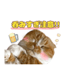 ももなつまみイルふく（個別スタンプ：15）