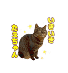 ももなつまみイルふく（個別スタンプ：17）
