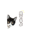 ももなつまみイルふく（個別スタンプ：18）