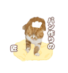 ももなつまみイルふく（個別スタンプ：19）