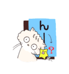 くもにゃんとぼっしーの仲良しスタンプ（個別スタンプ：12）