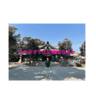 神社マスター❤️❤️❤️❤️❤️❤️❤️（個別スタンプ：27）