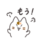 こめこの可愛い猫スタンプ（個別スタンプ：13）