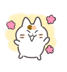 こめこの可愛い猫スタンプ（個別スタンプ：16）