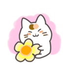 こめこの可愛い猫スタンプ（個別スタンプ：34）