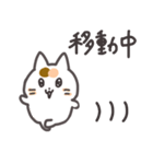 こめこの可愛い猫スタンプ（個別スタンプ：39）