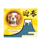 たいせつなおもいでたち。（個別スタンプ：1）