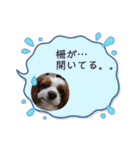 たいせつなおもいでたち。（個別スタンプ：7）