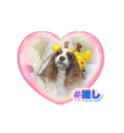 たいせつなおもいでたち。（個別スタンプ：11）