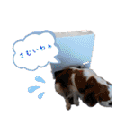 たいせつなおもいでたち。（個別スタンプ：12）