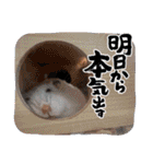 たいせつなおもいでたち。（個別スタンプ：28）