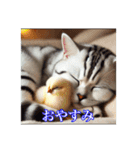 キャットTheスタンプ（個別スタンプ：8）