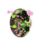 小さな春（個別スタンプ：8）