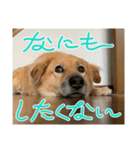 めいTスタンプ（個別スタンプ：2）