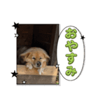 めいTスタンプ（個別スタンプ：5）