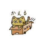 毎日ゴロゴロねこ生活（個別スタンプ：4）