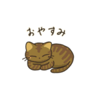 毎日ゴロゴロねこ生活（個別スタンプ：22）