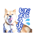 ゴンといっしょ（個別スタンプ：6）