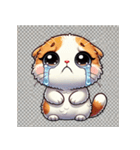 イカレタスコティッシュフォールドスタンプ（個別スタンプ：3）