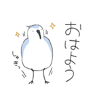 ゆるいミユビシギ（個別スタンプ：1）