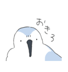 ゆるいミユビシギ（個別スタンプ：2）