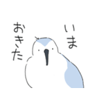 ゆるいミユビシギ（個別スタンプ：3）