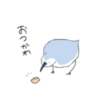 ゆるいミユビシギ（個別スタンプ：13）