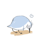 ゆるいミユビシギ（個別スタンプ：16）